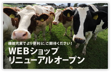 WEBショップリニューアルオープン